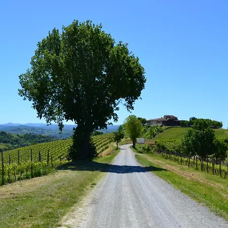 Villa Castel Rocchero Villa