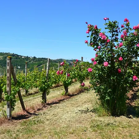Villa Castel Rocchero Castel Rocchero
