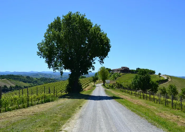 Villa Castel Rocchero Villa