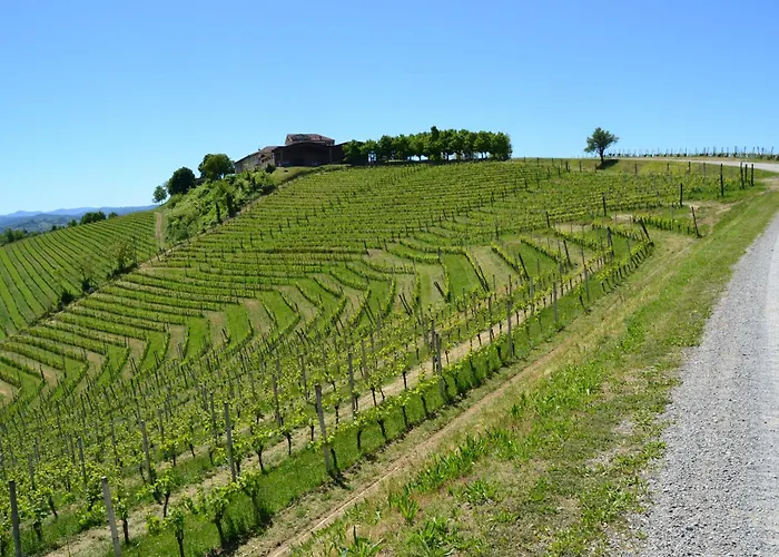 Villa Castel Rocchero Villa