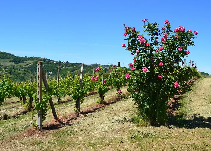 Villa Castel Rocchero Castel Rocchero